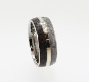 用恐龍化石、隕石所製成的超珍貴戒指