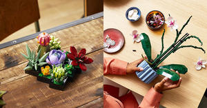 樂高LEGO多肉植物、蘭花登場！樂高「植感溫室」同步快閃台北信義誠品