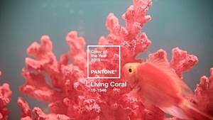 Pantone 2019年度代表色揭曉！用溫暖積極的「Living Coral 活珊瑚橘」療癒人心