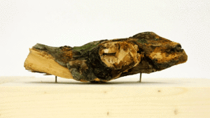 用停格動畫展現物體被侵蝕的樣貌