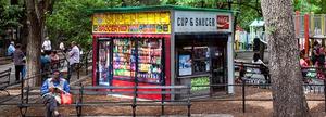 那些年的城市小店，消失的「夫妻店」重現紐約公園