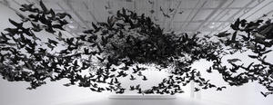 中國爆破藝術家蔡國強最新力作！《鳥雲》一萬隻瓷鳥染上火藥灰於澳洲墨爾本磅礡展出
