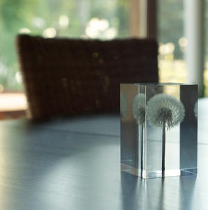 方正堅硬的蒲公英？細膩極簡的燈具讓人很難不愛上～