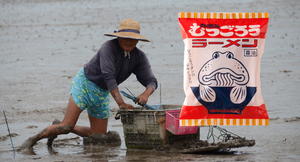 彈塗魚、異形拉麵是什麼味？日本百年老店的當地特色泡麵