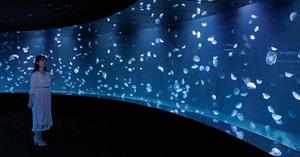 日本池袋 sunshine 水族館「海月空感」區新開幕！宛如夜光水母 14 公尺全景壯觀展開