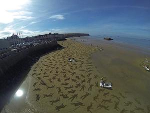 切莫忘了歷史的傷痛，追求反戰與和平的沙灘藝術