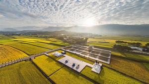 2021池上秋收稻穗藝術節 ！雲門舞集、9m88 《十三聲》以金黃稻浪天地為舞台