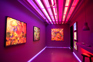 暗房、明廳對比展覽迷幻遊走虛實！北京藝術家王加加 TAO ART 個展打造不同感官效果