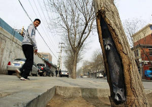 樹洞裡的小畫讓街景氣氛更加活潑