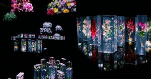 日本花藝大師東信《繁花．時敘》大直NOKE開展！「Block Flowers」百花圖鑑封存花朵盛放時間