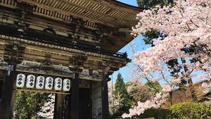 住進千年古廟當一日僧侶！日本滋賀「三井寺」在琵琶湖美景體驗禪坐、抄經
