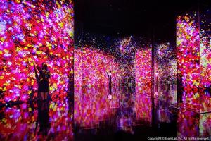 teamLab未來遊樂園台北科教館登場！9大展區打造沉浸互動藝術體驗