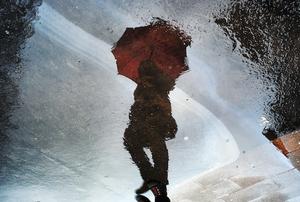 雨天也是拍照天，「Reflections」幫你轉個角度看世界